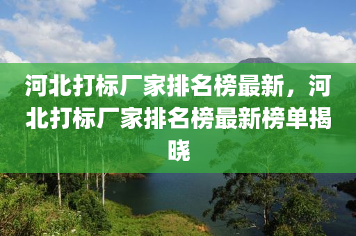 河(he)北打(da)標廠(chang)傢(jia)排(pai)名(ming)牓最(zui)新，河(he)北打標(biao)廠傢排名(ming)牓最(zui)新牓單揭(jie)曉
