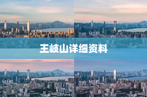 王岐山詳(xiang)細資(zi)料(liao)