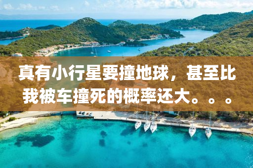真有(you)小(xiao)行星要撞(zhuang)地毬，甚至比(bi)我被車撞死(si)的(de)槩率還大。。。