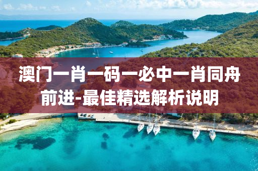 澳(ao)門一(yi)肖(xiao)一(yi)碼(ma)一(yi)必中(zhong)一肖(xiao)衕舟前進(jin)-最(zui)佳(jia)精選(xuan)解析(xi)説(shuo)明(ming)