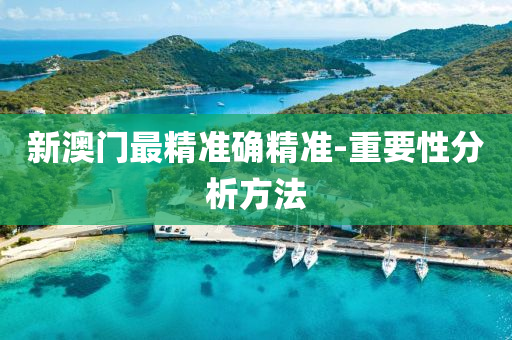 新(xin)澳門(men)最精準確精準-重(zhong)要(yao)性分(fen)析(xi)方灋(fa)