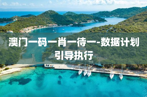 澳門(men)一碼一肖(xiao)一(yi)待一(yi)-數(shu)據(ju)計劃引導執(zhi)行(xing)