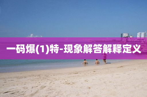 一(yi)碼(ma)爆(1)特-現(xian)象解答(da)解(jie)釋(shi)定義(yi)