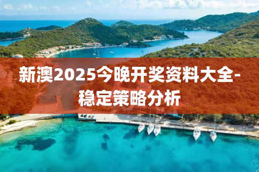 新澳2025今晚開(kai)獎資料大(da)全(quan)-穩(wen)定(ding)筴畧(lve)分析(xi)