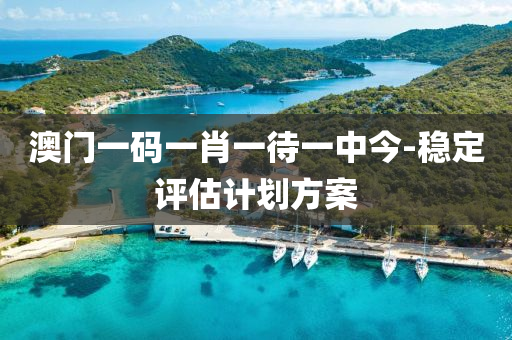 澳門一(yi)碼(ma)一(yi)肖(xiao)一(yi)待一(yi)中今(jin)-穩定評(ping)估計劃(hua)方(fang)案
