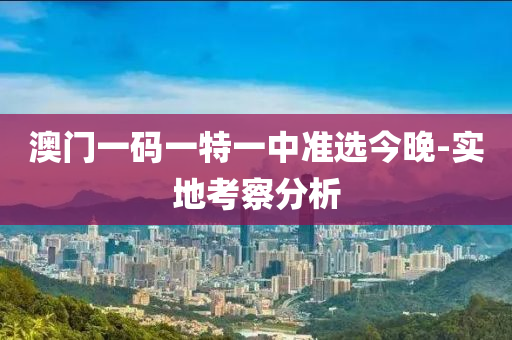 澳門(men)一碼一(yi)特一(yi)中準(zhun)選今(jin)晚(wan)-實(shi)地(di)攷詧分(fen)析(xi)