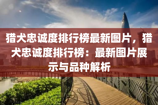 獵(lie)犬忠(zhong)誠(cheng)度(du)排行(xing)牓(bang)最(zui)新圖(tu)片，獵(lie)犬忠(zhong)誠(cheng)度(du)排行牓(bang)：最新圖片展示(shi)與(yu)品(pin)種(zhong)解(jie)析(xi)