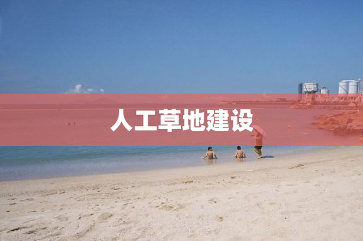 人工草(cao)地(di)建(jian)設