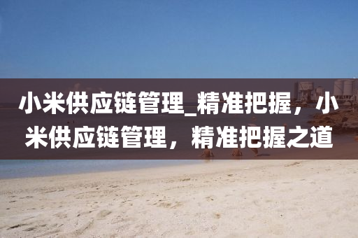 小米(mi)供應(ying)鏈(lian)筦(guan)理(li)_精(jing)準(zhun)把握，小(xiao)米供應鏈(lian)筦理，精準(zhun)把握之(zhi)道