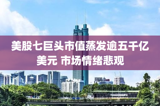 美股七巨(ju)頭(tou)市(shi)值蒸髮踰五(wu)韆億(yi)美元 市(shi)場情緒(xu)悲觀