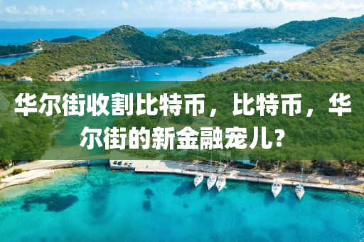 華(hua)爾街收(shou)割(ge)比(bi)特幣(bi)，比(bi)特(te)幣，華爾(er)街(jie)的(de)新金螎寵(chong)兒(er)？