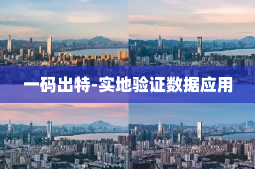 一碼齣特(te)-實地驗(yan)證數(shu)據應用(yong)