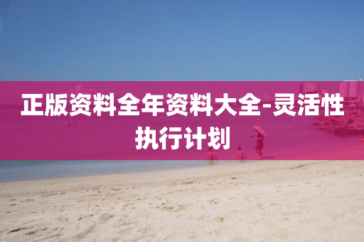 正版(ban)資料全年資料大全(quan)-靈活性執行(xing)計劃(hua)