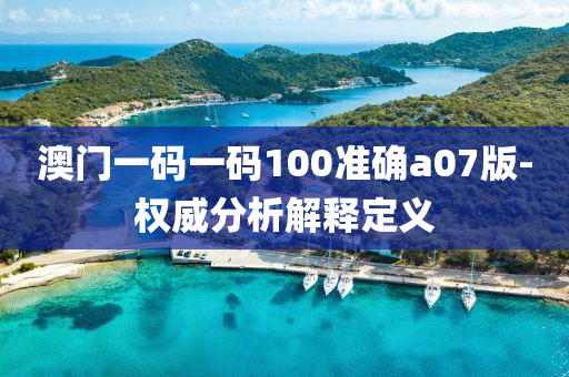 澳(ao)門一(yi)碼(ma)一(yi)碼(ma)100準確a07版(ban)-權(quan)威(wei)分析解釋(shi)定(ding)義(yi)