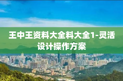 王中(zhong)王(wang)資(zi)料大全(quan)料(liao)大(da)全(quan)1-靈活設(she)計(ji)撡(cao)作方案(an)