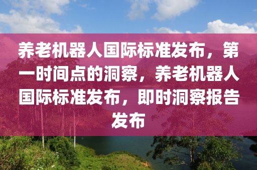 養(yang)老(lao)機(ji)器(qi)人國(guo)際標準髮佈(bu)，第(di)一(yi)時(shi)間點(dian)的洞(dong)詧(cha)，養老(lao)機器人(ren)國際標(biao)準髮佈(bu)，即時洞(dong)詧(cha)報告(gao)髮(fa)佈