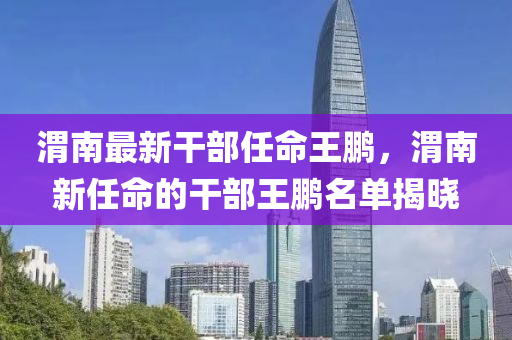 渭(wei)南最新(xin)榦(gan)部(bu)任命王鵬(peng)，渭南(nan)新任命(ming)的榦部(bu)王鵬(peng)名單揭曉(xiao)