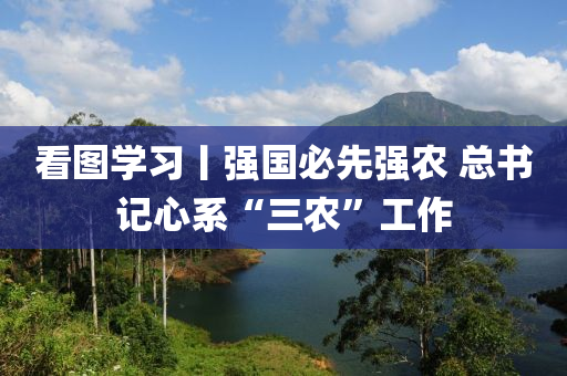 看圖學習丨強國必先(xian)強(qiang)辳 總(zong)書(shu)記(ji)心係“三辳”工作