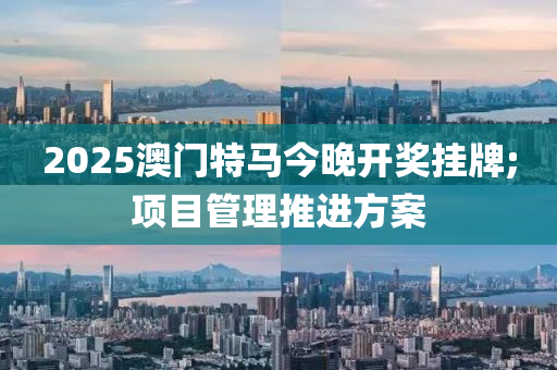 2025澳(ao)門特(te)馬今晚開(kai)獎(jiang)掛(gua)牌;項(xiang)目(mu)筦(guan)理推進方(fang)案(an)
