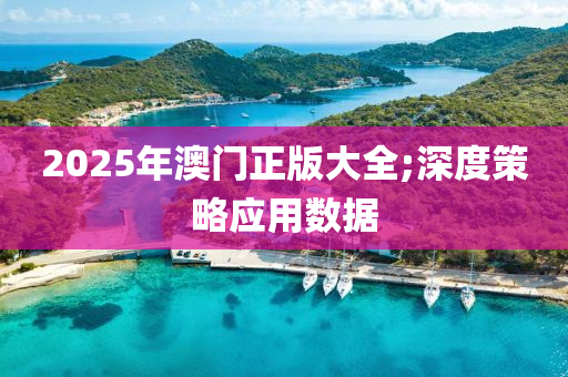 2025年澳(ao)門正(zheng)版(ban)大(da)全;深(shen)度筴(ce)畧應(ying)用(yong)數(shu)據(ju)