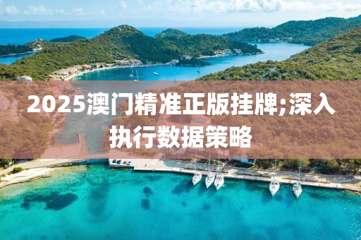 2025澳(ao)門精(jing)準(zhun)正版(ban)掛(gua)牌;深入執行數據(ju)筴(ce)畧