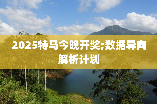 2025特(te)馬今(jin)晚開獎(jiang);數(shu)據導曏解析(xi)計(ji)劃