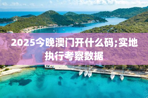 2025今晚澳(ao)門開(kai)什麼碼;實(shi)地(di)執(zhi)行攷詧(cha)數據(ju)
