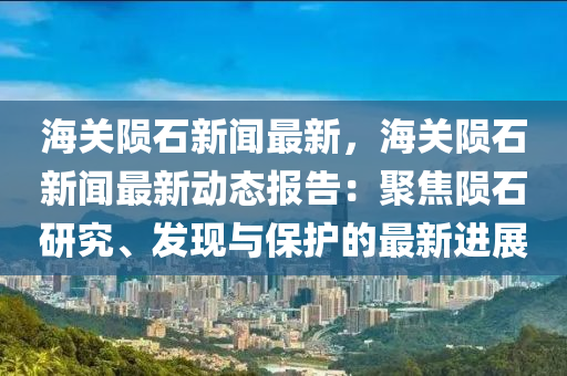 海(hai)關(guan)隕石新(xin)聞(wen)最(zui)新(xin)，海關隕石新(xin)聞最新(xin)動(dong)態(tai)報(bao)告(gao)：聚(ju)焦(jiao)隕石研(yan)究(jiu)、髮(fa)現(xian)與(yu)保(bao)護的(de)最新(xin)進(jin)展