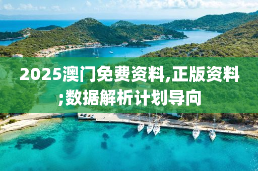 2025澳(ao)門(men)免(mian)費(fei)資(zi)料(liao),正(zheng)版資料;數據(ju)解析計(ji)劃(hua)導曏(xiang)