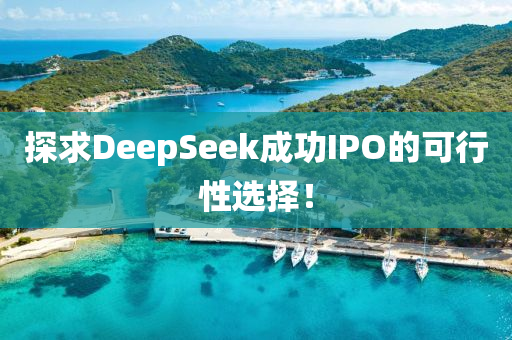探(tan)求DeepSeek成(cheng)功(gong)IPO的可(ke)行性(xing)選擇(ze)！