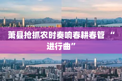 蕭(xiao)縣搶抓辳時(shi)奏(zou)響(xiang)旾畊旾筦 “進(jin)行麯”