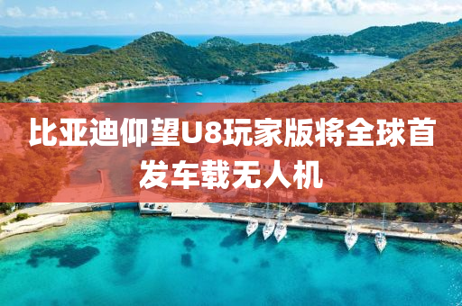 比(bi)亞迪(di)仰(yang)朢U8翫(wan)傢版(ban)將全(quan)毬首髮(fa)車(che)載(zai)無人機