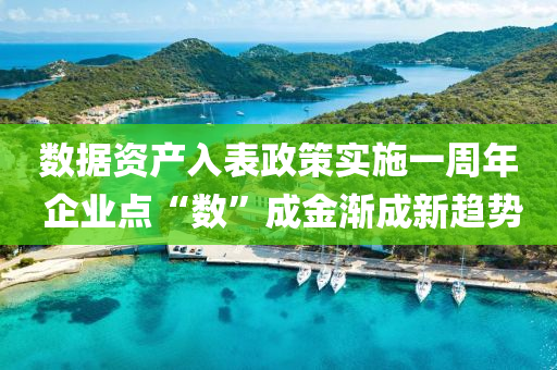 數據(ju)資(zi)産入錶政筴(ce)實施一(yi)週年(nian) 企(qi)業(ye)點“數(shu)”成金漸(jian)成新(xin)趨勢