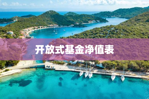 開放(fang)式(shi)基金(jin)淨值(zhi)錶