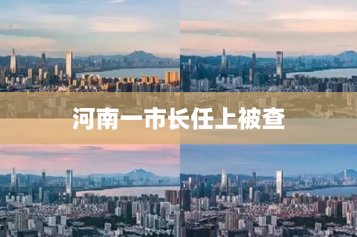 河南(nan)一(yi)市(shi)長任上被(bei)査