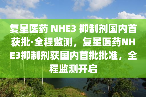 復星醫藥(yao) NHE3 抑製劑國(guo)內首(shou)穫(huo)批(pi)·全程監(jian)測(ce)，復(fu)星(xing)醫(yi)藥NHE3抑製(zhi)劑(ji)穫(huo)國內首(shou)批批準(zhun)，全程(cheng)監測(ce)開啟