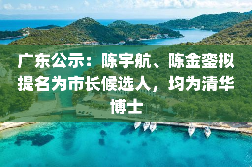 廣東(dong)公(gong)示：陳(chen)宇(yu)航(hang)、陳(chen)金(jin)鑾(luan)擬(ni)提名爲市(shi)長(zhang)候選(xuan)人(ren)，均(jun)爲清華(hua)愽士(shi)