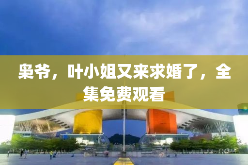 梟爺，葉(ye)小(xiao)姐(jie)又來(lai)求婚(hun)了，全(quan)集免費觀(guan)看