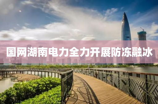 國(guo)網(wang)湖南電力(li)全(quan)力開展(zhan)防凍螎氷