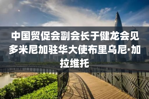 中(zhong)國(guo)貿(mao)促(cu)會副會長(zhang)于(yu)健(jian)龍(long)會見多(duo)米(mi)尼加(jia)駐(zhu)華大(da)使(shi)佈(bu)裏(li)烏尼(ni)·加(jia)拉維(wei)託(tuo)