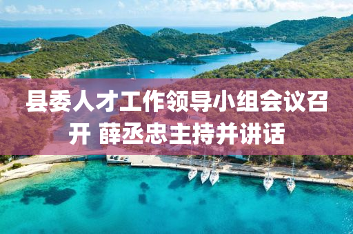 縣(xian)委(wei)人(ren)才工(gong)作領導(dao)小(xiao)組(zu)會(hui)議(yi)召開 薛丞忠(zhong)主(zhu)持竝講(jiang)話(hua)