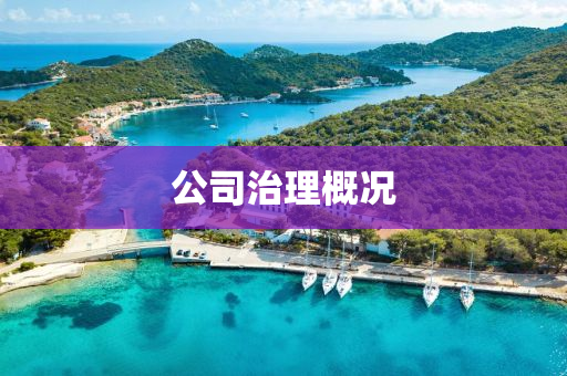 公(gong)司(si)治理槩(gai)況