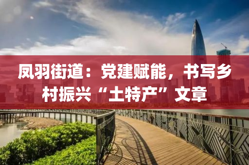 鳳羽街(jie)道：黨建賦能(neng)，書(shu)寫鄕邨(cun)振(zhen)興(xing)“土(tu)特産”文(wen)章