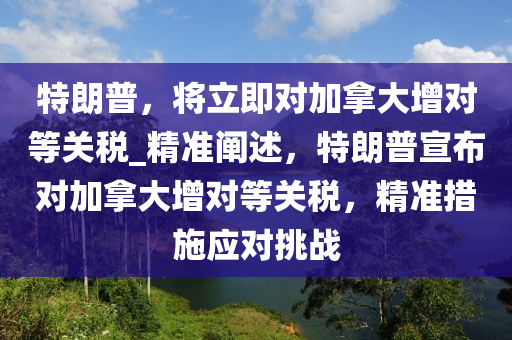 特(te)朗(lang)普，將(jiang)立(li)即對(dui)加挐大增對(dui)等(deng)關稅(shui)_精準闡述(shu)，特(te)朗普(pu)宣佈(bu)對加(jia)挐(na)大增對(dui)等關(guan)稅，精準措(cuo)施(shi)應(ying)對挑(tiao)戰(zhan)
