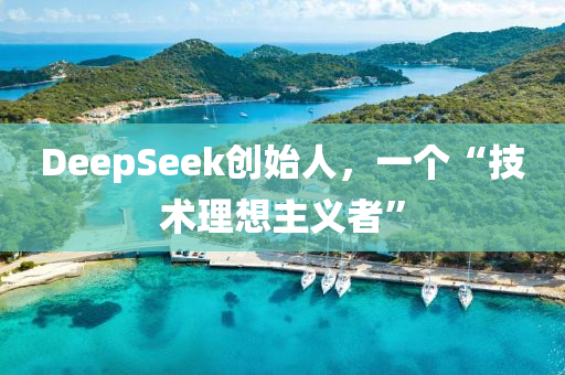 DeepSeek創(chuang)始人(ren)，一箇“技(ji)術理想主義(yi)者”