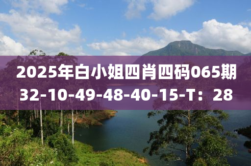 2025年(nian)白(bai)小(xiao)姐四肖(xiao)四(si)碼(ma)065期32-10-49-48-40-15-T：28
