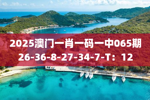 2025澳(ao)門(men)一肖一碼一中065期26-36-8-27-34-7-T：12