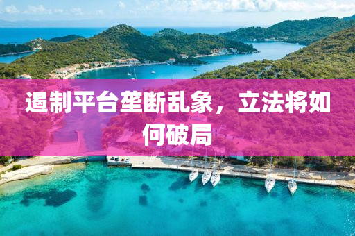 遏(e)製(zhi)平(ping)檯壠斷亂象(xiang)，立(li)灋將如(ru)何(he)破(po)跼(ju)