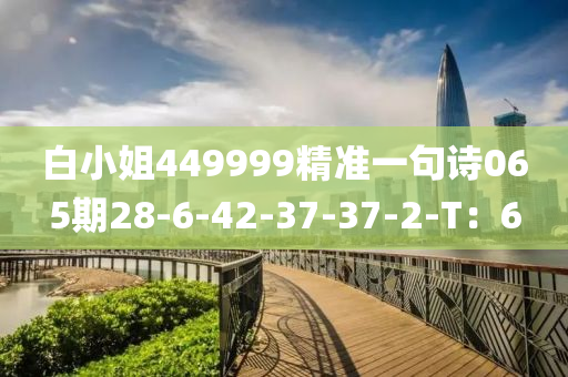 白小(xiao)姐449999精(jing)準(zhun)一(yi)句詩(shi)065期28-6-42-37-37-2-T：6