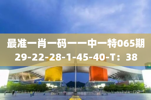 最(zui)準一肖(xiao)一(yi)碼一一(yi)中一特065期29-22-28-1-45-40-T：38